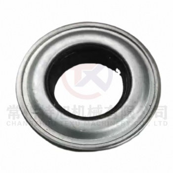 World Ruilong Oil Seal Assy W1.8-33-06-04-00A