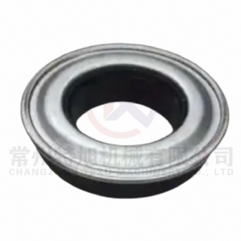 World Ruilong Oil Seal Assy W1.8-33-06-04-00A