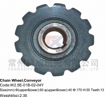 Chain Wheel,Conveyor W2.5E-01B-02-04Y