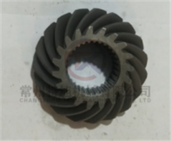 Active Bevel Gear W2.5-02A-01-17-06