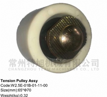 Tension Pulley Assy W2.5E-01B-01-11-00