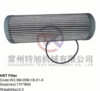 HST Filter W2.5M-05M-18-01-X