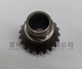 Bevel Gear W2.5-02G-02-10-01-04