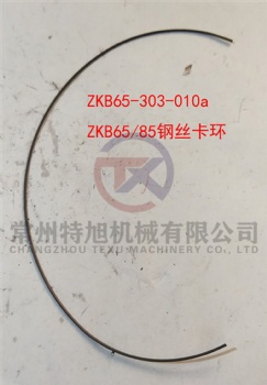 Clasp ZKB65-303-010a