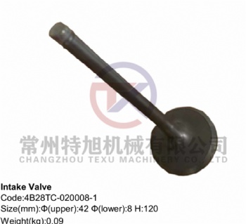 Intake Valve 4B28TC-020008-1