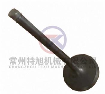 Intake Valve 4B28TC-020008-1