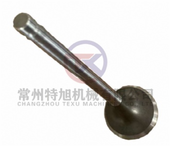 Exhaust Valve 4B28TC-020007-1