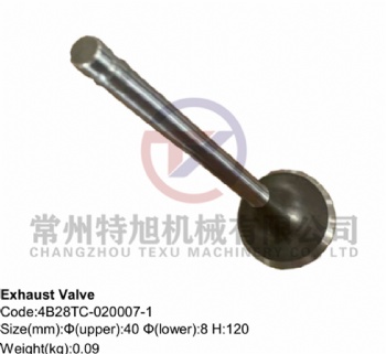 Exhaust Valve 4B28TC-020007-1