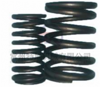 Valve Spring N85-02003-1/2