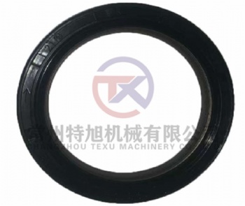 Inner Skeleton Rotating Shaft Lip Seal Ring DR52×72×12