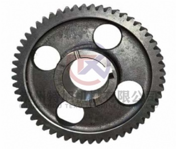 Camshaft Timing Gear 4L88-040007A