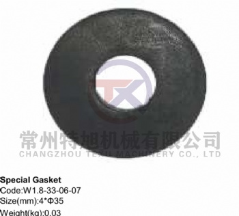 Special Gasket W1.8-33-06-07