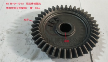 Big Bevel Gear W2.5B-04-10-02