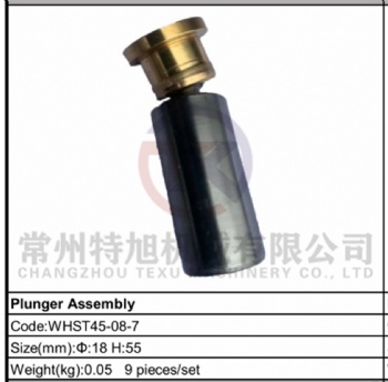 Plunger Assembly WHST45-08-7