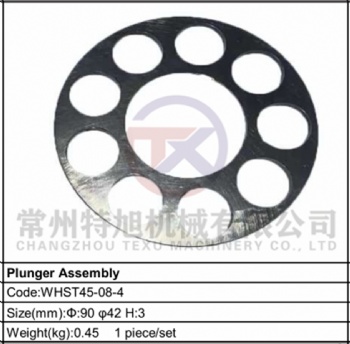 Plunger Assembly WHST45-08-4