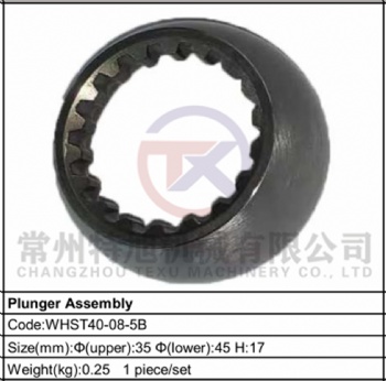 Plunger Assembly WHST40-08-5B