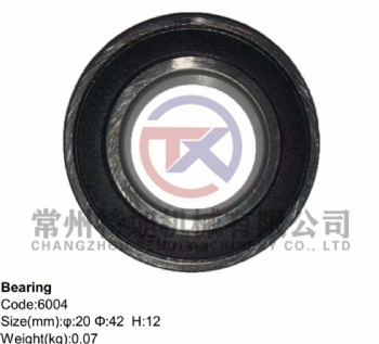 Bearing 6004