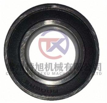 Bearing 6006-2RS