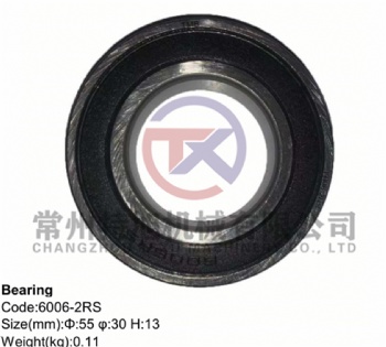 Bearing 6006-2RS