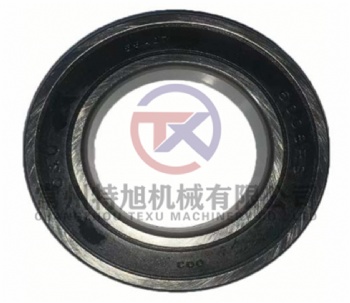 Bearing 6008-RS