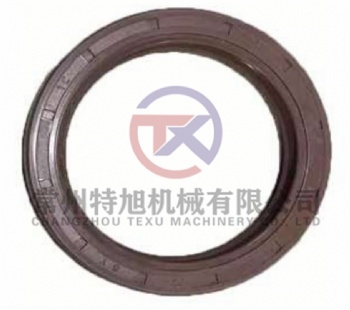 Oil Seal FB55×75×8