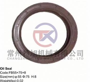 Oil Seal FB55×75×8