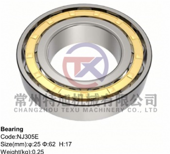 Bearing NJ305E